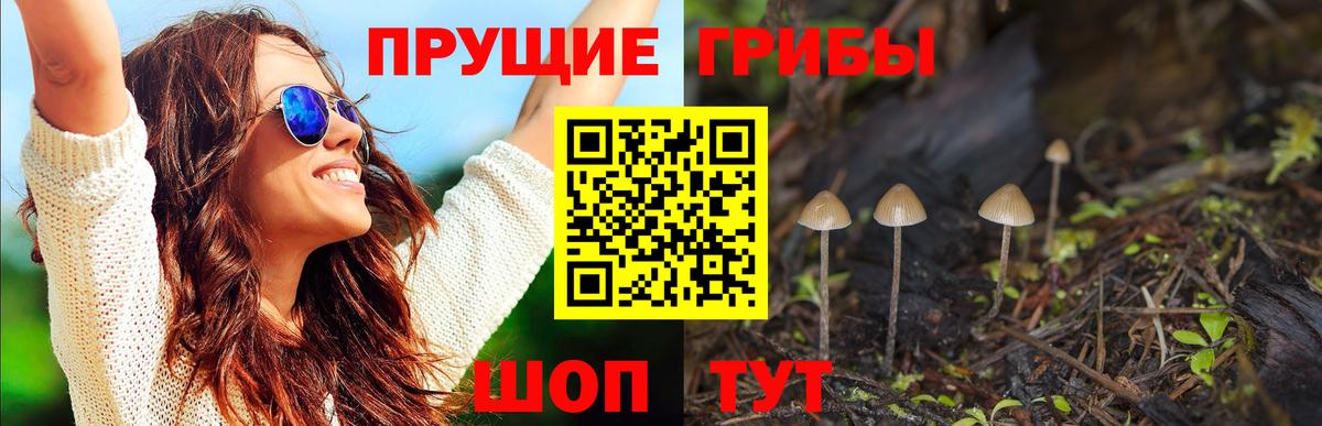 наркота  Вход с VPN  Ярцево  Галлюциногенные грибы MAGIC MUSHROOMS 